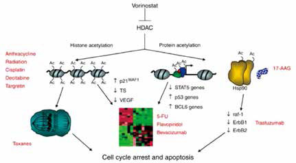 209-210期全球肿瘤快讯-89.jpg