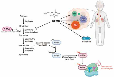 389-390期《全球肿瘤快讯》-107.jpg
