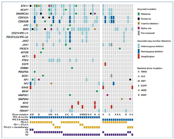 抗PD-（L）1治疗NSCLC 获得性耐药的基因组和免疫表型特征均不同